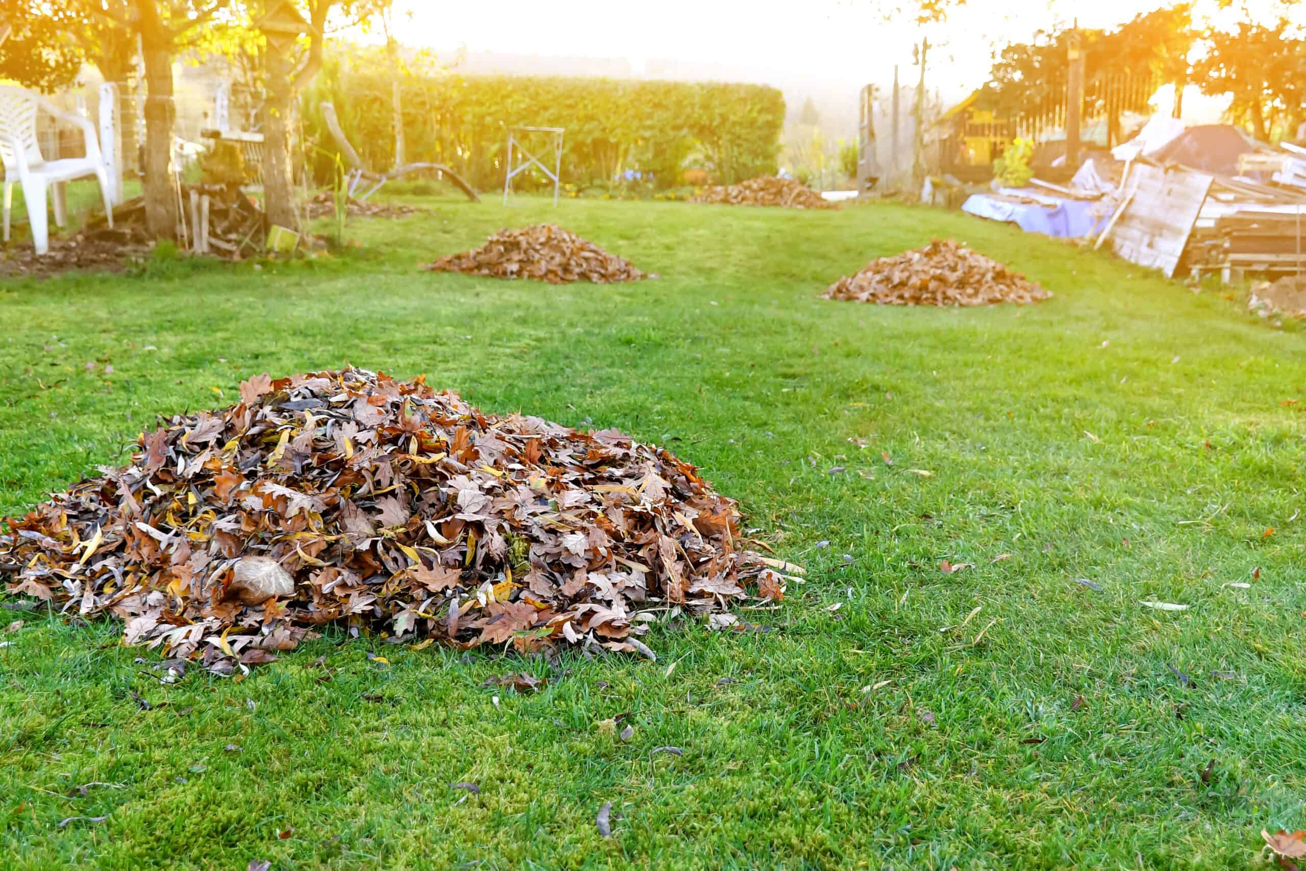 Landscaping work